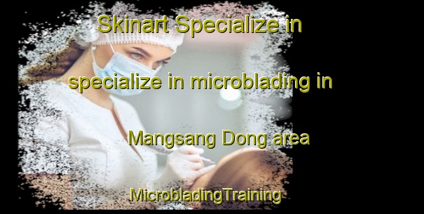 Skinart Specialize in specialize in microblading in Mangsang Dong area | MicrobladingTraining | MicrobladingClasses | SkinartTraining-Korea