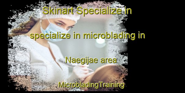 Skinart Specialize in specialize in microblading in Naegijae area | #MicrobladingTraining #MicrobladingClasses #SkinartTraining-Korea