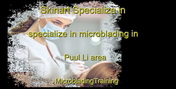 Skinart Specialize in specialize in microblading in Puul Li area | #MicrobladingTraining #MicrobladingClasses #SkinartTraining-Korea