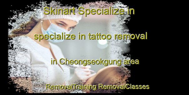 Skinart Specialize in specialize in tattoo removal in Cheongseokgung area | #RemovalTraining #RemovalClasses #SkinartTraining-Korea