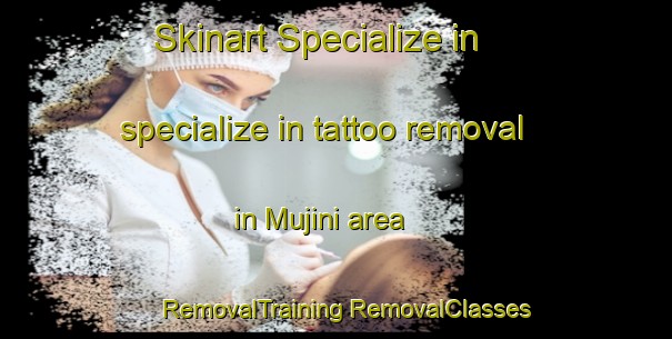 Skinart Specialize in specialize in tattoo removal in Mujini area | #RemovalTraining #RemovalClasses #SkinartTraining-Korea