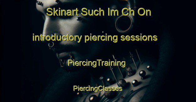 Skinart Such Im Ch On introductory piercing sessions | #PiercingTraining #PiercingClasses #SkinartTraining-Korea