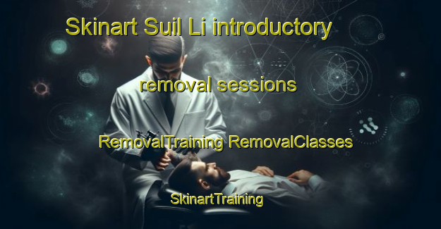 Skinart Suil Li introductory removal sessions | #RemovalTraining #RemovalClasses #SkinartTraining-Korea