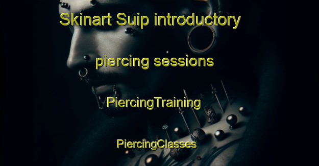 Skinart Suip introductory piercing sessions | PiercingTraining | PiercingClasses | SkinartTraining-Korea