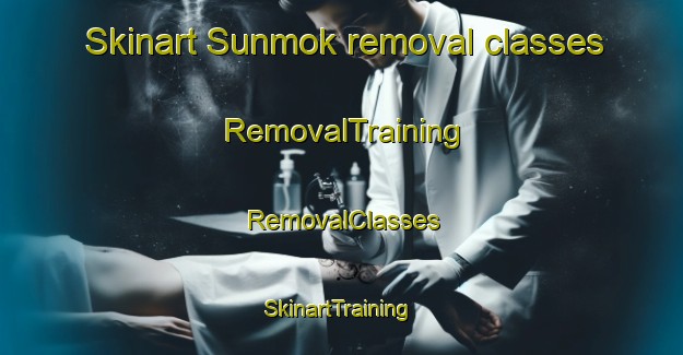 Skinart Sunmok removal classes | RemovalTraining | RemovalClasses | SkinartTraining-Korea