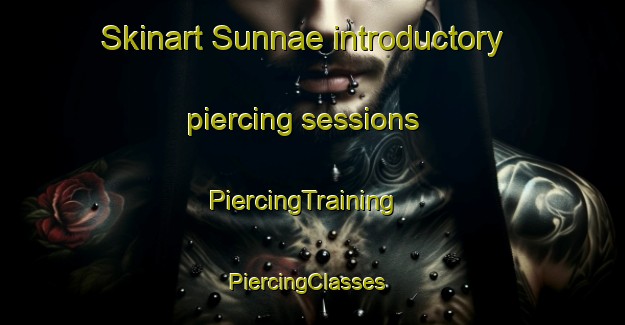 Skinart Sunnae introductory piercing sessions | PiercingTraining | PiercingClasses | SkinartTraining-Korea