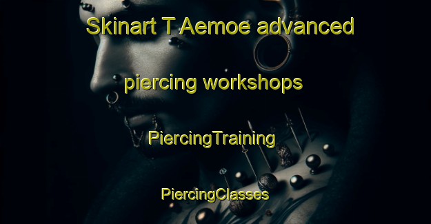 Skinart T Aemoe advanced piercing workshops | #PiercingTraining #PiercingClasses #SkinartTraining-Korea