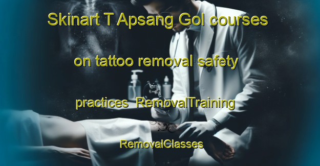 Skinart T Apsang Gol courses on tattoo removal safety practices | RemovalTraining | RemovalClasses | SkinartTraining-Korea