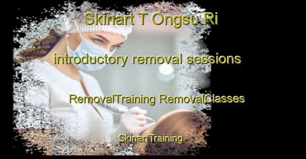 Skinart T Ongsu Ri introductory removal sessions | #RemovalTraining #RemovalClasses #SkinartTraining-Korea