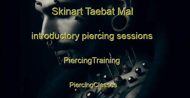 Skinart Taebat Mal introductory piercing sessions | PiercingTraining | PiercingClasses | SkinartTraining-Korea