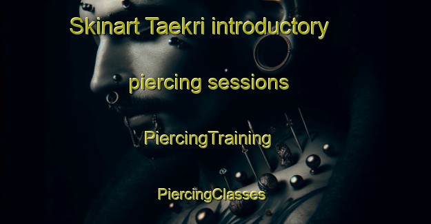 Skinart Taekri introductory piercing sessions | PiercingTraining | PiercingClasses | SkinartTraining-Korea