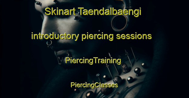 Skinart Taendalbaengi introductory piercing sessions | #PiercingTraining #PiercingClasses #SkinartTraining-Korea