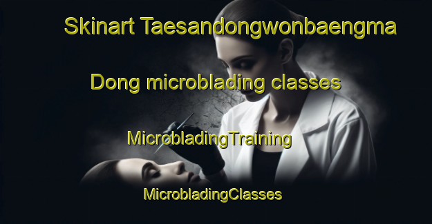 Skinart Taesandongwonbaengma Dong microblading classes | MicrobladingTraining | MicrobladingClasses | SkinartTraining-Korea