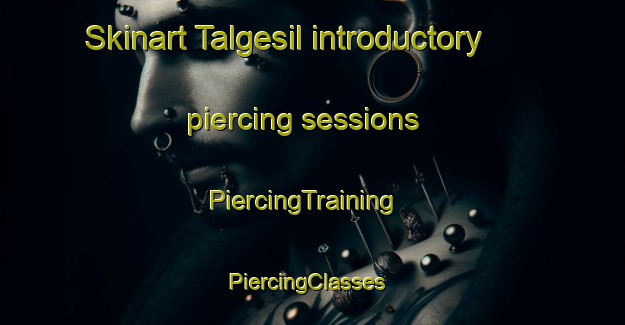 Skinart Talgesil introductory piercing sessions | PiercingTraining | PiercingClasses | SkinartTraining-Korea