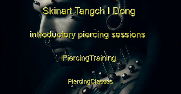 Skinart Tangch I Dong introductory piercing sessions | #PiercingTraining #PiercingClasses #SkinartTraining-Korea