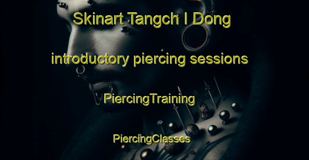 Skinart Tangch I Dong introductory piercing sessions | PiercingTraining | PiercingClasses | SkinartTraining-Korea