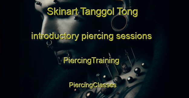 Skinart Tanggol Tong introductory piercing sessions | PiercingTraining | PiercingClasses | SkinartTraining-Korea