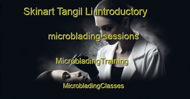 Skinart Tangil Li introductory microblading sessions | MicrobladingTraining | MicrobladingClasses | SkinartTraining-Korea