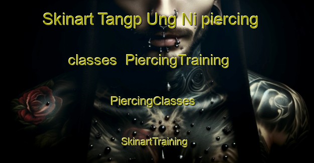 Skinart Tangp Ung Ni piercing classes | PiercingTraining | PiercingClasses | SkinartTraining-Korea