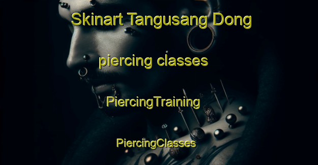 Skinart Tangusang Dong piercing classes | PiercingTraining | PiercingClasses | SkinartTraining-Korea