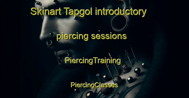 Skinart Tapgol introductory piercing sessions | #PiercingTraining #PiercingClasses #SkinartTraining-Korea