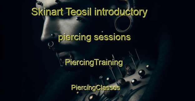 Skinart Teosil introductory piercing sessions | PiercingTraining | PiercingClasses | SkinartTraining-Korea