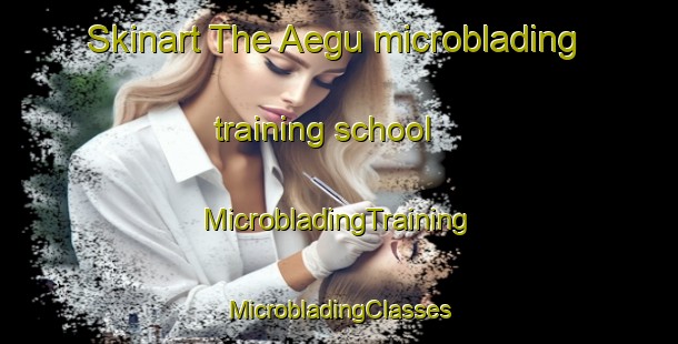 Skinart The Aegu microblading training school | #MicrobladingTraining #MicrobladingClasses #SkinartTraining-Korea