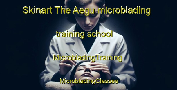 Skinart The Aegu microblading training school | #MicrobladingTraining #MicrobladingClasses #SkinartTraining-Korea