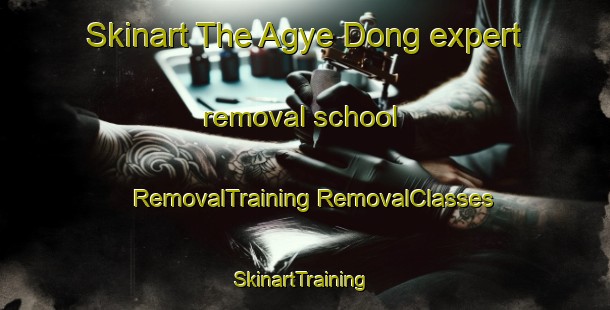 Skinart The Agye Dong expert removal school | #RemovalTraining #RemovalClasses #SkinartTraining-Korea