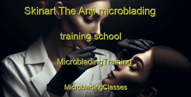 Skinart The Anji microblading training school | #MicrobladingTraining #MicrobladingClasses #SkinartTraining-Korea