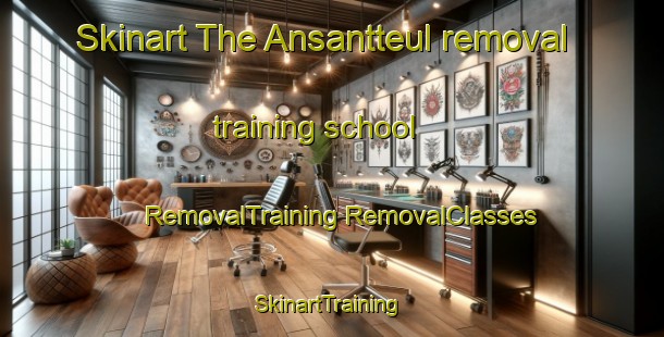 Skinart The Ansantteul removal training school | #RemovalTraining #RemovalClasses #SkinartTraining-Korea