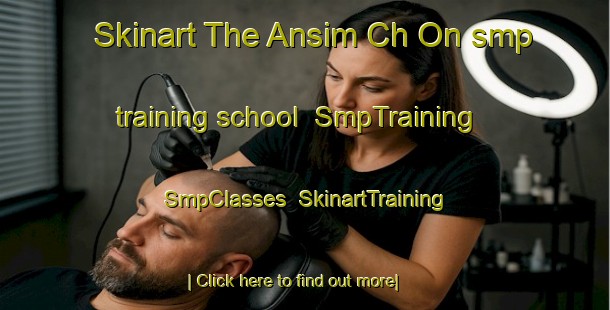 Skinart The Ansim Ch On smp training school | SmpTraining | SmpClasses | SkinartTraining-Korea