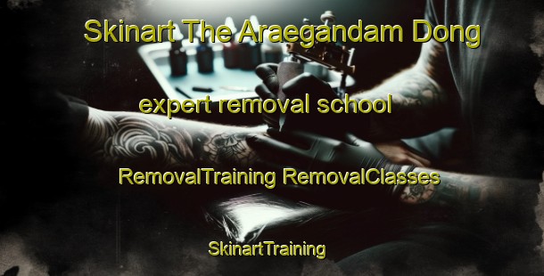 Skinart The Araegandam Dong expert removal school | #RemovalTraining #RemovalClasses #SkinartTraining-Korea