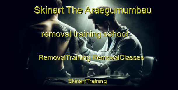 Skinart The Araegumumbau removal training school | #RemovalTraining #RemovalClasses #SkinartTraining-Korea