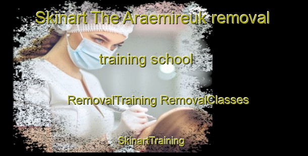 Skinart The Araemireuk removal training school | #RemovalTraining #RemovalClasses #SkinartTraining-Korea