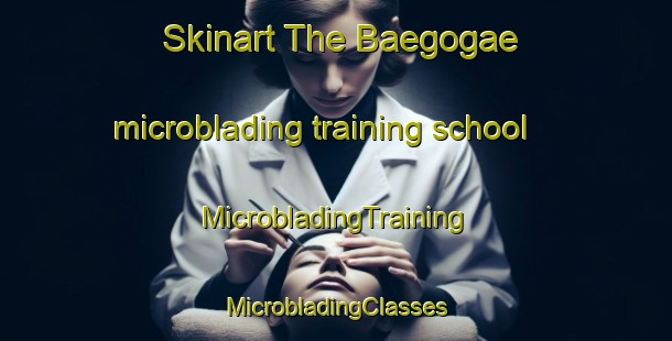 Skinart The Baegogae microblading training school | #MicrobladingTraining #MicrobladingClasses #SkinartTraining-Korea