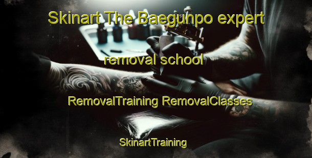 Skinart The Baegunpo expert removal school | #RemovalTraining #RemovalClasses #SkinartTraining-Korea