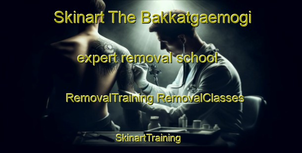 Skinart The Bakkatgaemogi expert removal school | #RemovalTraining #RemovalClasses #SkinartTraining-Korea