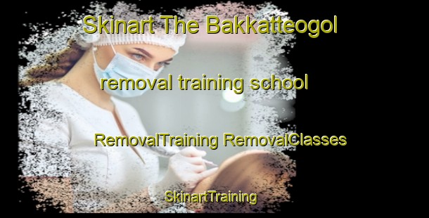 Skinart The Bakkatteogol removal training school | #RemovalTraining #RemovalClasses #SkinartTraining-Korea