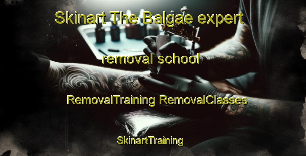 Skinart The Balgae expert removal school | #RemovalTraining #RemovalClasses #SkinartTraining-Korea