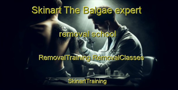 Skinart The Balgae expert removal school | #RemovalTraining #RemovalClasses #SkinartTraining-Korea