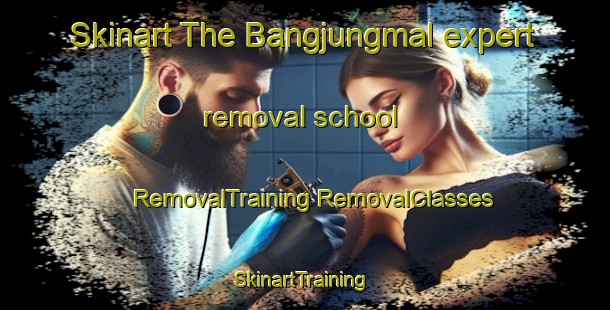 Skinart The Bangjungmal expert removal school | #RemovalTraining #RemovalClasses #SkinartTraining-Korea