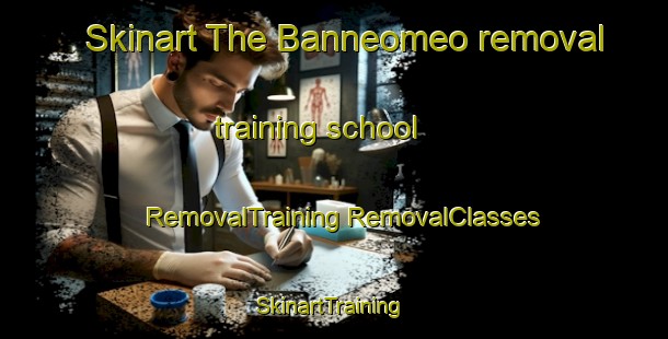 Skinart The Banneomeo removal training school | #RemovalTraining #RemovalClasses #SkinartTraining-Korea