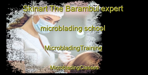 Skinart The Barambul expert microblading school | #MicrobladingTraining #MicrobladingClasses #SkinartTraining-Korea