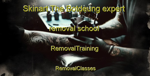 Skinart The Botdeung expert removal school | RemovalTraining | RemovalClasses | SkinartTraining-Korea