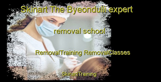 Skinart The Byeondulli expert removal school | #RemovalTraining #RemovalClasses #SkinartTraining-Korea