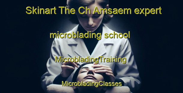 Skinart The Ch Amsaem expert microblading school | #MicrobladingTraining #MicrobladingClasses #SkinartTraining-Korea