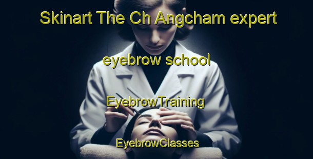 Skinart The Ch Angcham expert eyebrow school | EyebrowTraining | EyebrowClasses | SkinartTraining-Korea