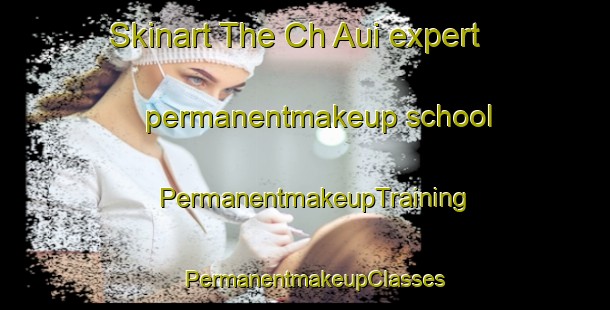 Skinart The Ch Aui expert permanentmakeup school | PermanentmakeupTraining | PermanentmakeupClasses | SkinartTraining-Korea