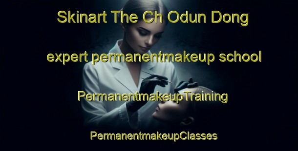 Skinart The Ch Odun Dong expert permanentmakeup school | PermanentmakeupTraining | PermanentmakeupClasses | SkinartTraining-Korea